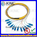 FC/SC/LC 12 core fiber optical patch cord